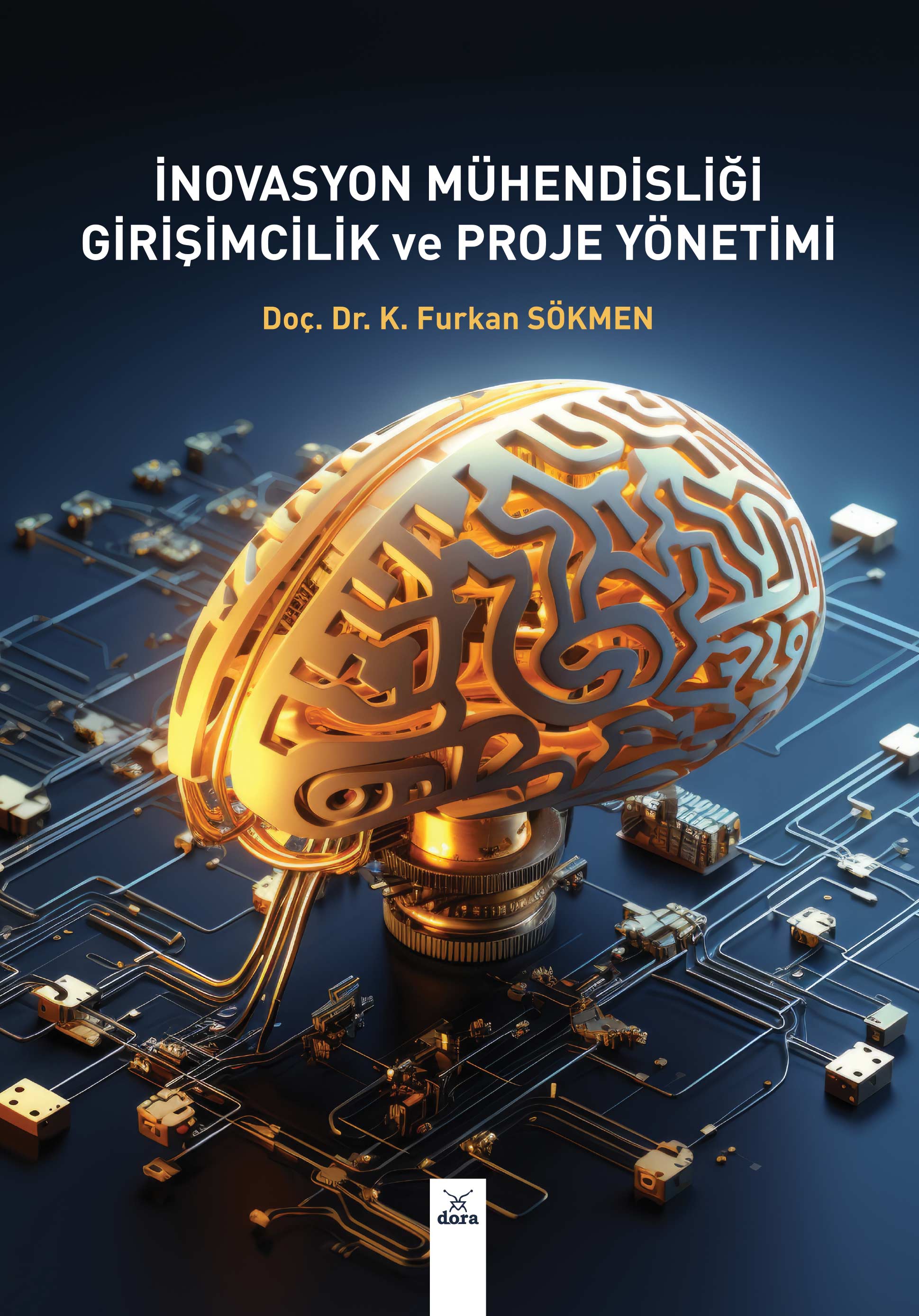İNOVASYON MÜHENDİSLİĞİ GİRİŞİMCİLİK ve PROJE YÖNETİMİ  | 645 | Dora Yayıncılık