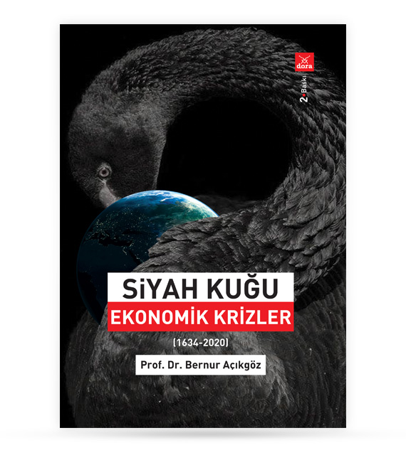 Siyah Kuğu Ekonomik Krizler | 485 | Dora Yayıncılık